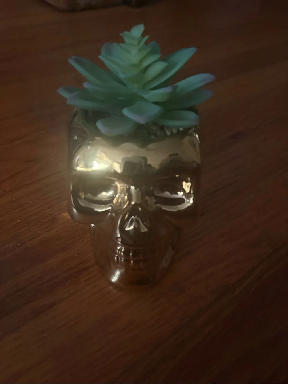Gold Ceramic Skull Planter with Green faux Succulent